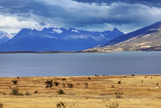 A vast landscape with a lake and distant mountains under a cloudy sky, The Patagonian landscape