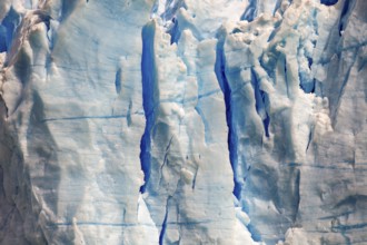 Close-up of a glacier with blue ice texture and visible cracks, The blue ice of the Perito Moreno