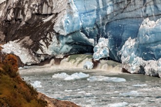 Meltwater flows out from under a massive blue glacier wall, The Perito Moreno glacier in Argentina
