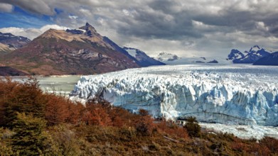 Imposing glacier front in a majestic mountain landscape with autumnal trees and dramatic skies, The