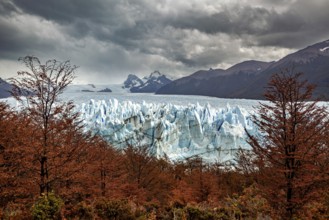 A glacier in a dramatic landscape with autumn trees and dark clouds over the mountains in the