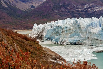 Colourful autumn landscape with glacier front in front of a mountain, The Perito Moreno glacier in