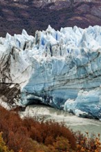 An imposing glacier stretches through a mountainous landscape, surrounded by autumn-coloured trees