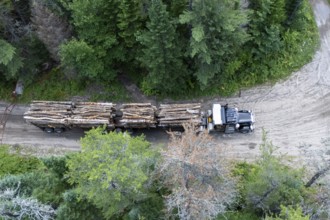 Heavy hauler transporting timber, Region of La Mauricie, Province of Quebec, Canada, North America