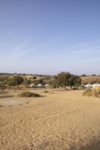 Desert camp or tented camp in the Thar Desert or Great Indian Desert, near Jaisalmer, Rajasthan,