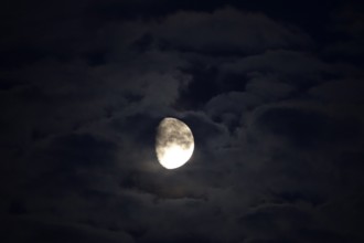 Picturesque sky with moon, moonlit night, July, Germany