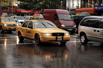 Yellow Caps, New York taxis in the rain, New York City, USA