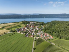 Luftbild vom Bodensee mit der Ortschaft Hödingen, am Horizont der Bodanrück, Überlingen,