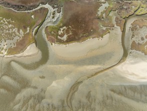 Marshes and streams at low tide in the Walvis Bay Lagoon. Aerial view. Drone shot. Namibia