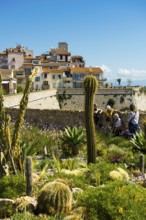 Picturesque town by the sea, Antibes, Provence Alpes Côte d'Azur, South of France, France