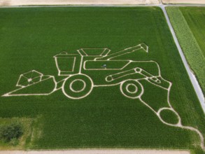 The maize maze of the Maize Spirits near Weißkirchen, near Frankfurt am Main, shows a combine