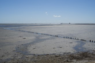 Wadden Sea at low tide, groynes, breakwater, Schleswig-Holstein Wadden Sea National Park, Pellworm
