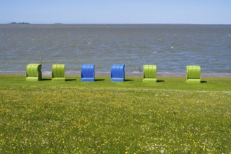 Beach chairs on a blooming meadow on the North Sea coast, Grünstrand, Pellworm Island, North Sea,