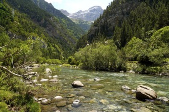 The River Ara in the Bujaruelo Valley or Valle de Bujaruelo near Torla-Ordesa, Spain