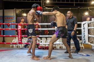 Thai boxing Muai Thai boxer in action, Pattaya, Thailand