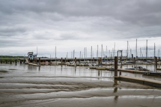 Pauillac, Gironde Estuary, Bordeaux, Gironde, Nouvelle-Aquitaine, France