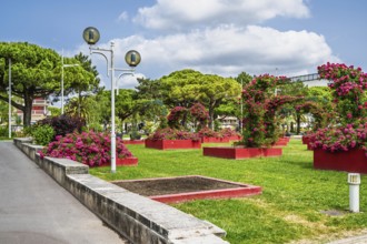 Royan, Nouvelle-Aquitaine, Charente-Maritime, France