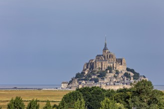 A castle sits majestically on the horizon, framed by trees and a clear sky, Mont Saint Michel in