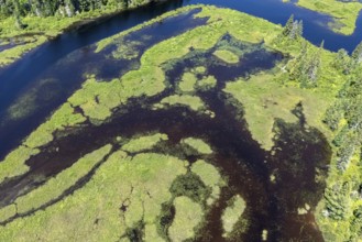 Lake and islands with vegetation, Boreal forest, Mastigouche wildlife reserve, Region of La