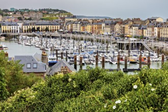Harbour with numerous boats, surrounding city buildings and green vegetation in the foreground, The