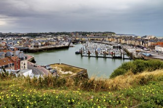 Panoramic view of a harbour town with many boats and green plants in the foreground under a grey