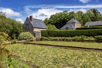 Wine-growing area with brick houses in front of a bright blue sky with white clouds, The historic