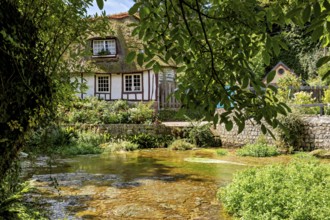 Half-timbered house by a stream, surrounded by dense, green vegetation and a quiet village charm,