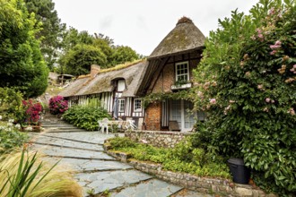 Charming thatched house in a lush garden with traditional architectural elements, the historic mill