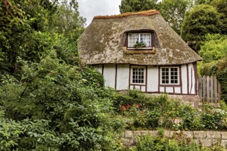 Thatched half-timbered house surrounded by dense vegetation in a rural setting, the historic mill