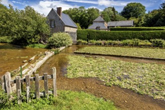 Rural scene with brick house and moat, surrounded by lush vegetation in summer, The historic mill