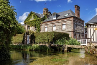 A brick house covered with climbing plants next to a clear body of water and lush vegetation, The