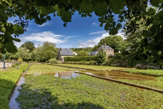 Green fields and brick houses under a clear sky with fleecy clouds, radiating rural tranquillity,