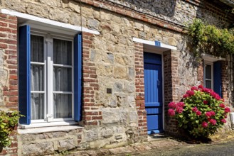 Stone house with blue shutters and door, flanked by hydrangeas under a bright summer sun, The