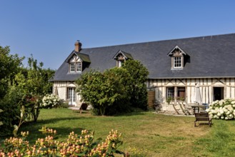 Cosy half-timbered house with flowering shrubs and green meadow under a clear sky, Historic houses