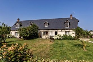Half-timbered house in a rural setting with a green meadow and flowering plants under a bright sky,