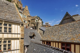 Varied roofs and half-timbered architecture in the foreground, with a historic castle in the