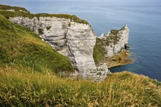 Rugged coastal terrain with impressive white cliffs and grass, The cliffs and alabaster coast of