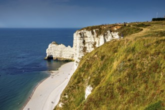 Panoramic view of the coastline with green cliffs and blue sea in sunny weather, The cliffs and