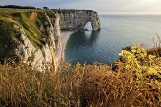 Coastline with majestic cliffs and natural rock arches surrounded by flowering plants, The cliffs