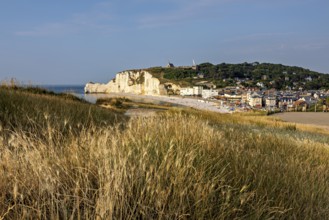 View of a seaside village with grassy cliffs overlooked by rocks, The cliffs and alabaster coast of