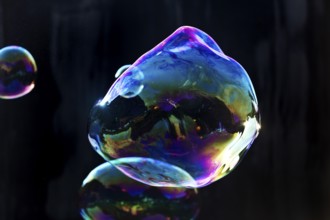 Large, irregular, iridescent soap bubbles in the colours of the rainbow against a black background,