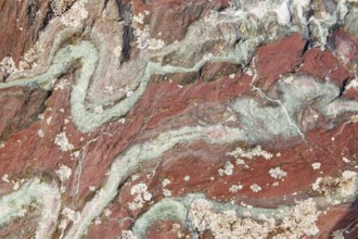 Rock detail with marbled structure, Switzerland