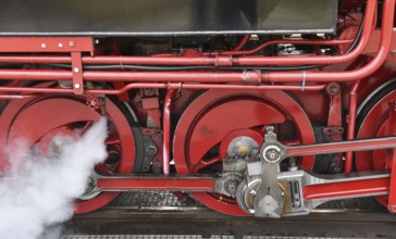 Steam locomotive of the Raging Roland on Rügen, Mecklenburg-Vorpommern, Germany