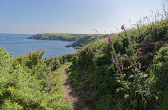 The South-West Coast Path in the south-west of England, a long-distance footpath near the southern