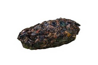 Close-up of shrike (Lanius) pellet containing regurgitated undigested remains of insect legs and