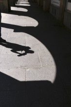 Photographer, Silhouette, Summer, Germany