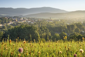 View from the pilgrimage church Weißenregen over Bad Kötzting to the Hohenbogen (Hoher Bogen) . In