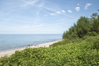 Natural sandy beach, Baltic resort Rerik, Baltic Sea, Rostock district, Mecklenburg-Western