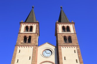 West façade of St Kilian's Cathedral, Würzburg, Lower Franconia, Bavaria, Germany