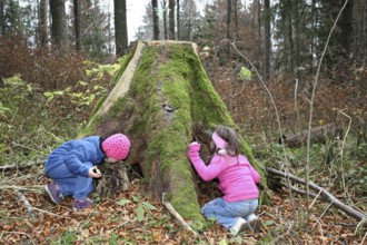 Girls discovering nature, children in nature, love of nature, Allgäu, Bavaria, Germany, Allgäu,